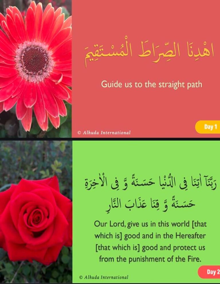 1000066201_7_11zon-768x994